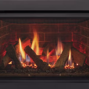 Ruby Series Direct Vent Fireplace Insert